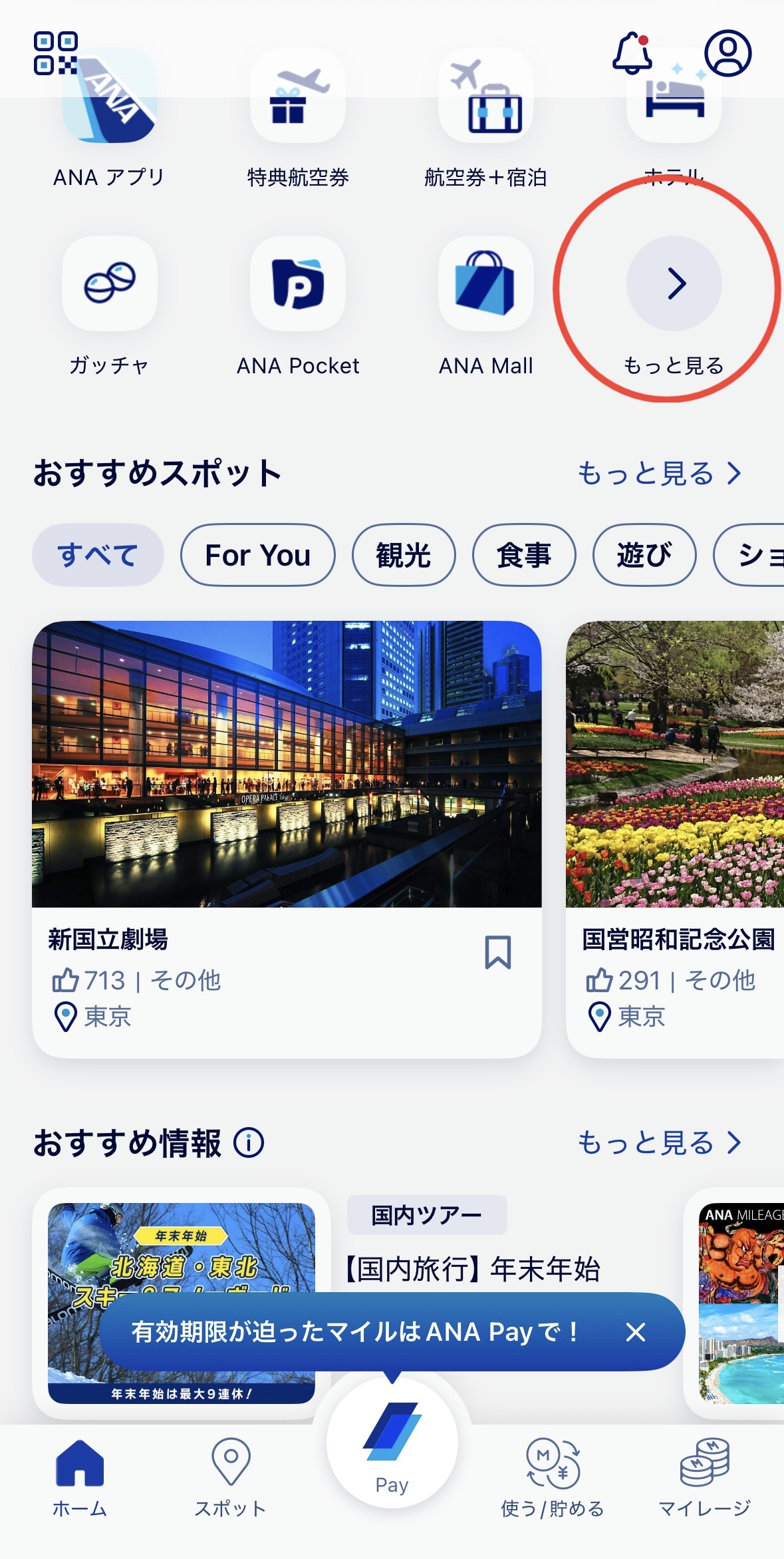 ANAマイレージアプリのバスチケット画面